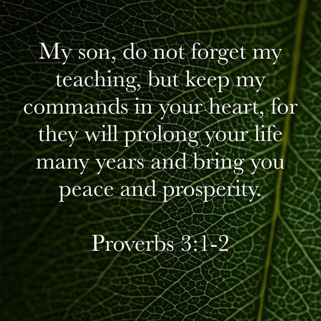 ProverbsSuccess's tweet image. 🙏🙏🙏