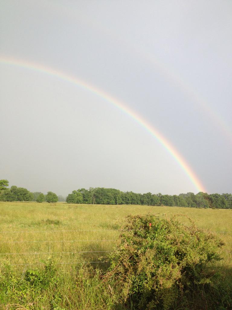 Sonia_Lynnette's tweet photo. Saw this beautiful double rainbow today http://t.co/yyptYggokN