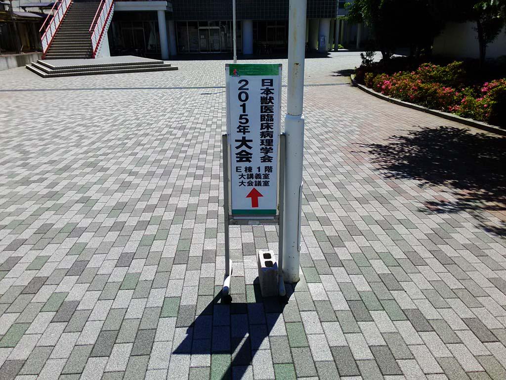 日本獣医臨床病理学会 Jsvcp Twitter