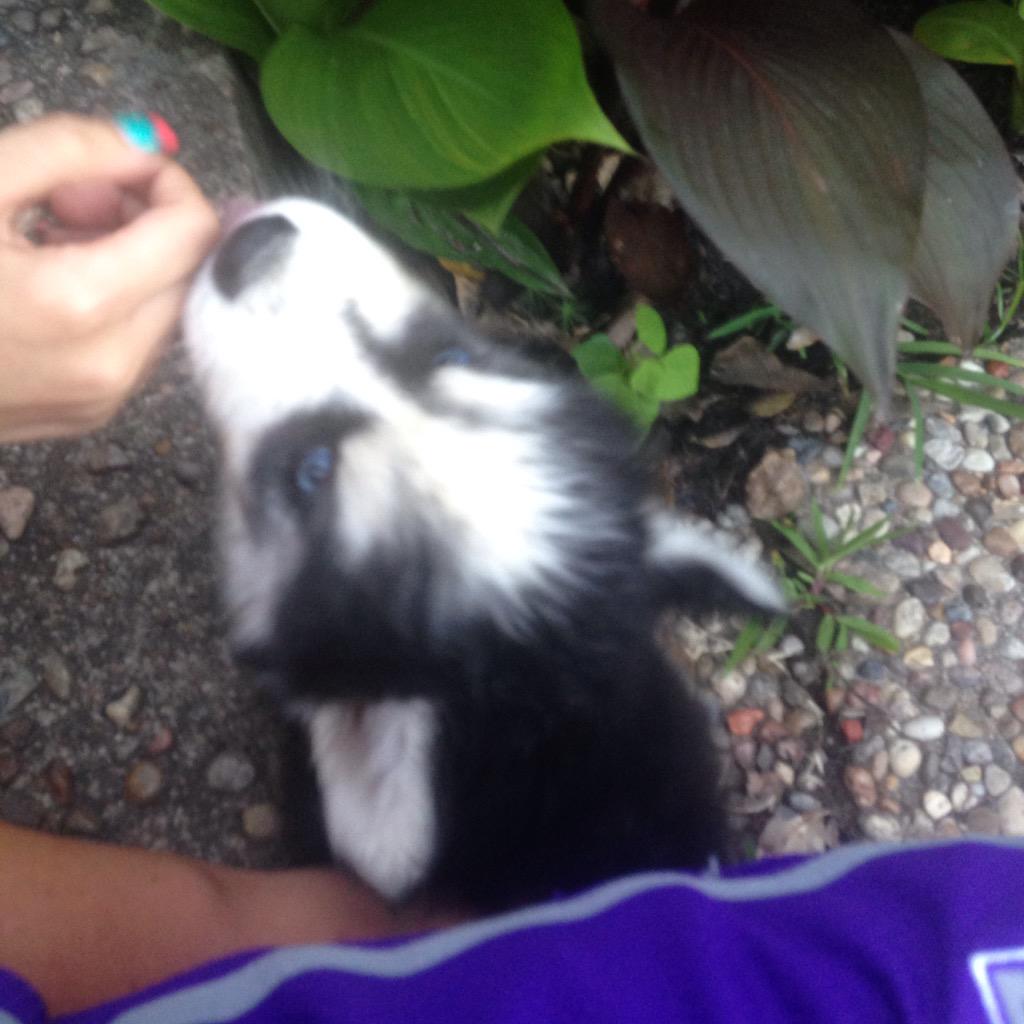 mjhall23's tweet photo. New addition to the Hall Family http://t.co/iHl6nBLIqk