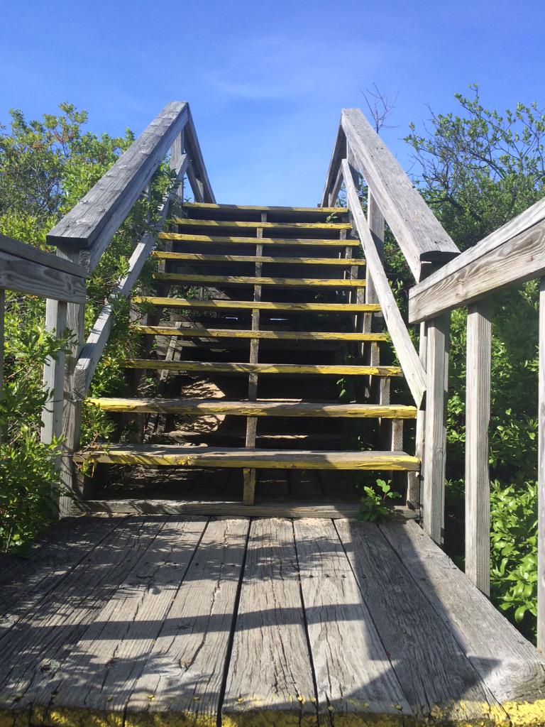 cloudymoons's tweet image. idk if this lil adventure made me more or less miserable overall but it was nice either way