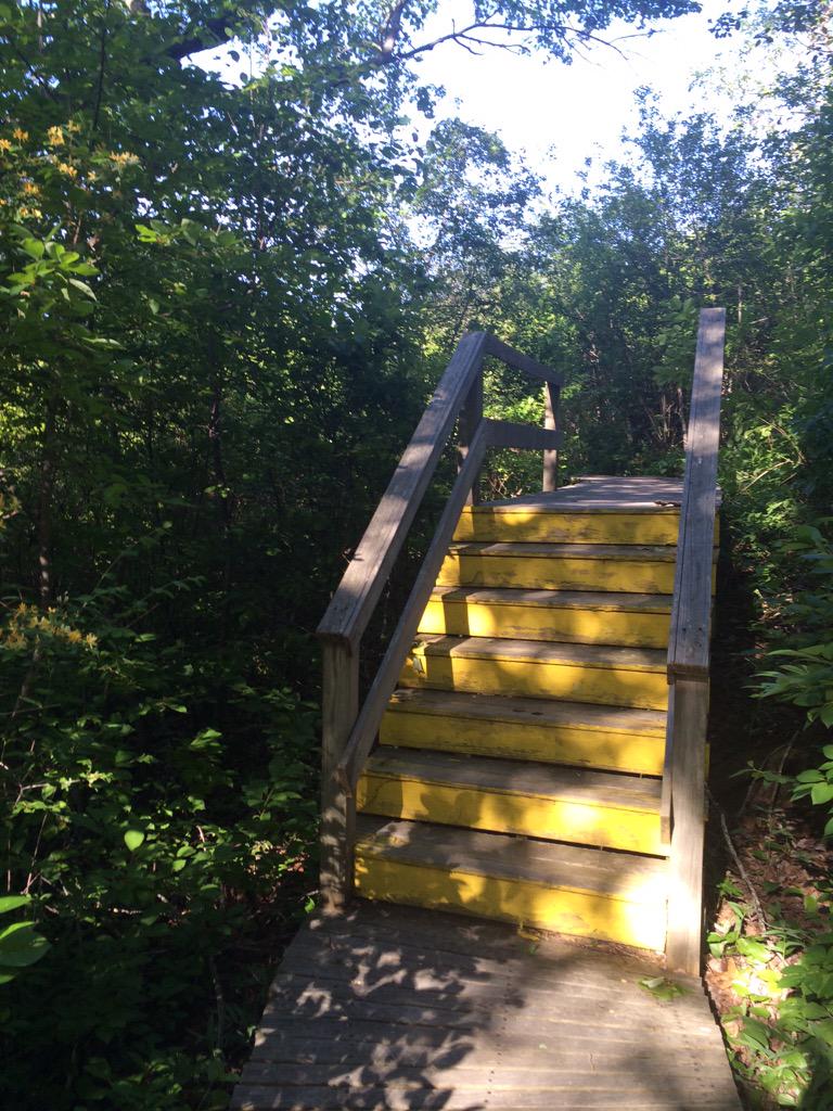 cloudymoons's tweet image. idk if this lil adventure made me more or less miserable overall but it was nice either way