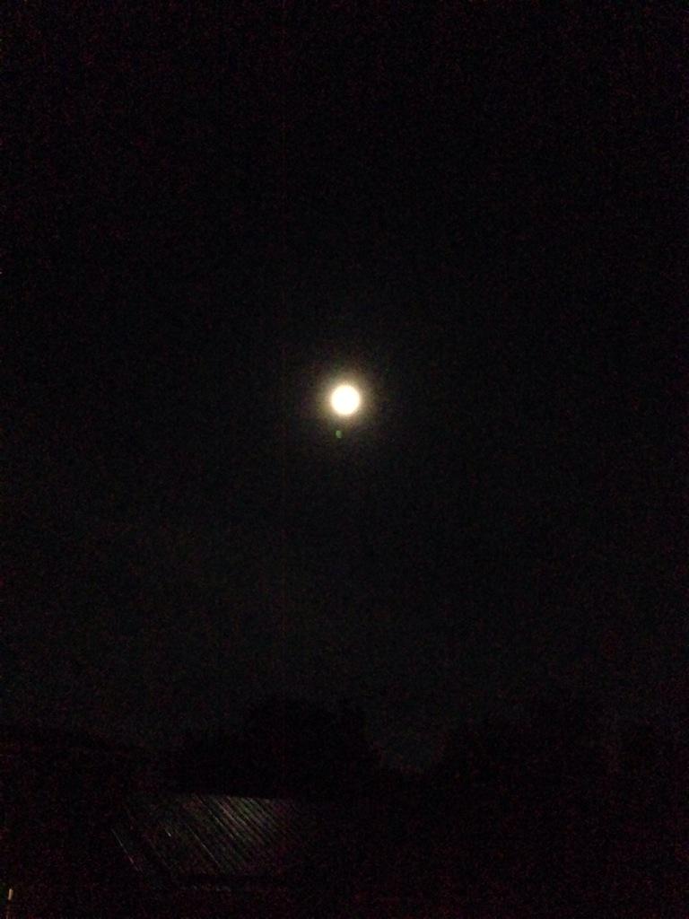 Day29 contemplating the moon #NatureIsCalling