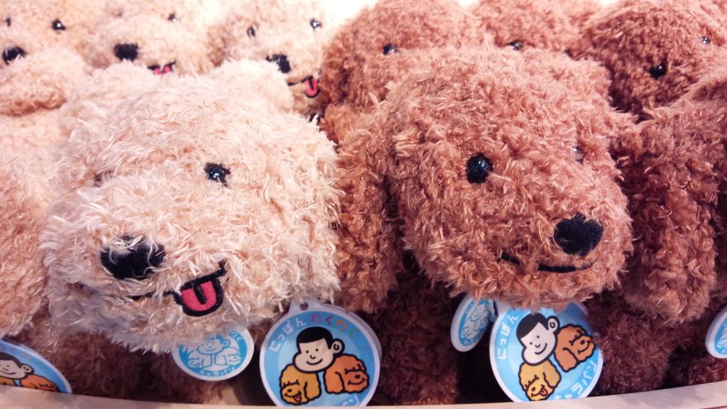 日テレ屋 再入荷情報 品切れ中だった Zip にっぽんわくわくキャラバン ぬいぐるみ ジジ ププ も 本日汐留店 東京駅店両店舗に再入荷いたしました 欠品中も沢山お問い合わせをいただいた 大人気のぬいぐるみです Http T Co 1bfw0kagy0 Twitter