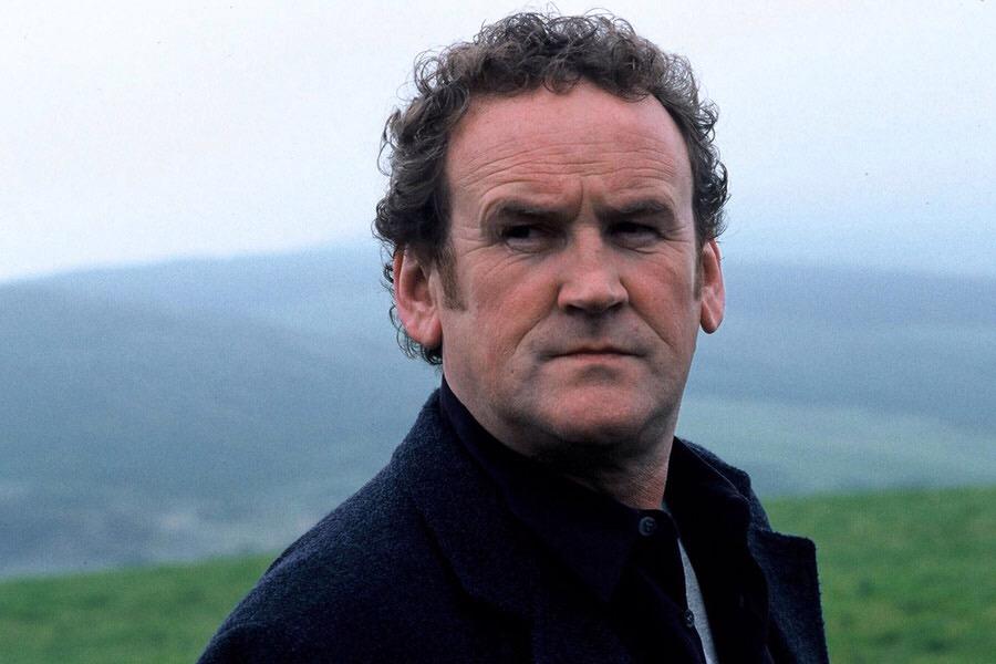 Happy Birthday, Colm Meaney! 