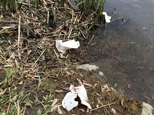 RiverRangerCA's tweet photo. A new observation has just been posted. http://t.co/we62VPEQ4l http://t.co/sxTpiXZKpg