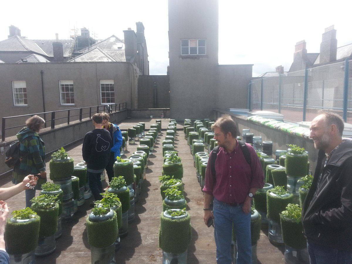 #rooftopgarden @dublinurbanfarm #bloomfringe