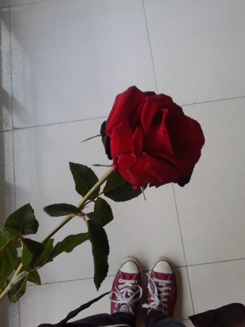 Semarak Budaya Penuh Cinta. Pentas Mandiri 2015 NOW. <a href="/SISWA_MALANG/">IG: SISWAMALANG</a> <a href="/eventmalang/">Event Malang</a> <a href="/AcaraMahasiswa/">IG & Tiktok: AcaraMahasiswa</a> <a href="/eventmalang/">Event Malang</a>