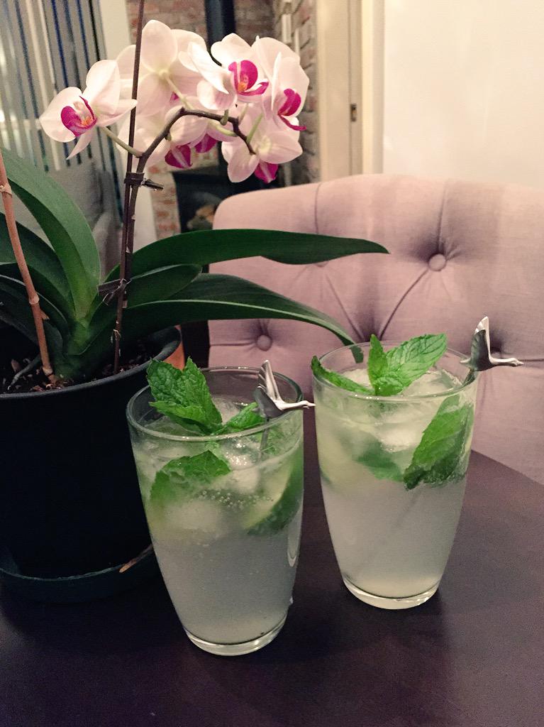 glo_chao's tweet image. Refreshing mojitos with organic mint from the garden! @yeasmania