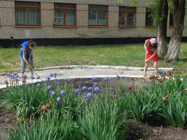 @AASheveleva Общеобластной субботник 30.05.2015г.