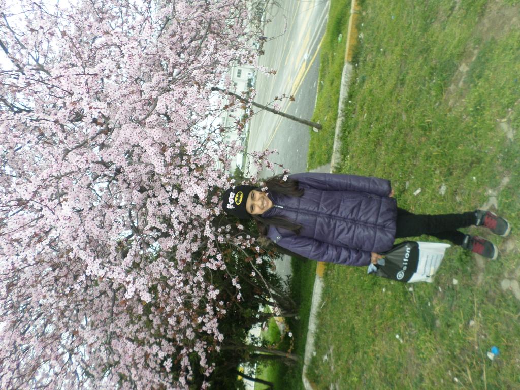 Mavi23s's tweet photo. Tree 😍😘❤❤ http://t.co/5dc2ZDD5bm