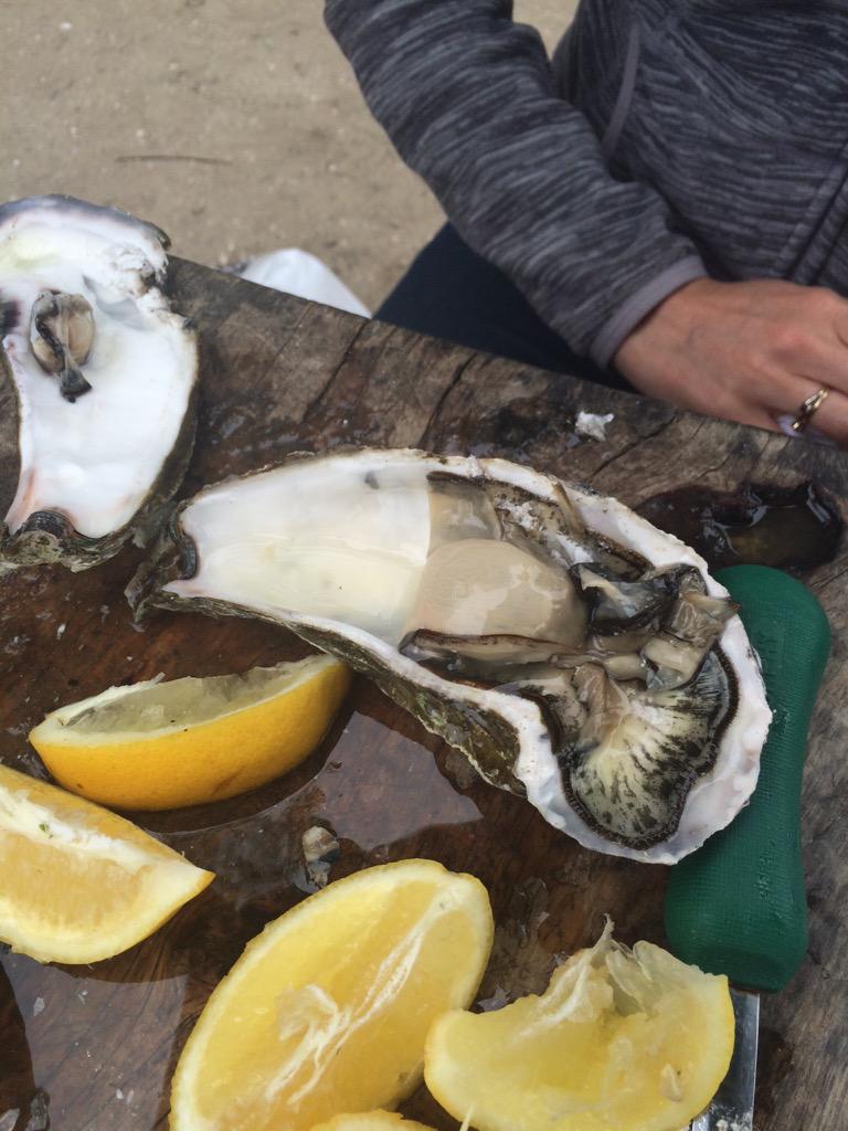 AntiDietUK's tweet photo. I love me a good oyster. The size of this one freaked me out though. @TBOCOysters http://t.co/aJVnrprttK
