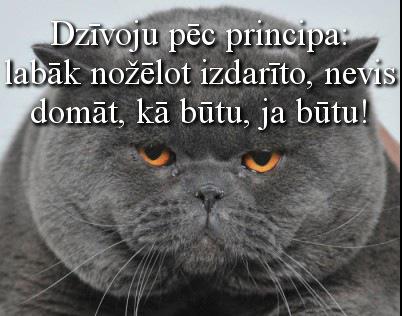 dzentlmenis's tweet photo. Dzīvoju... http://t.co/NseU30NZRT