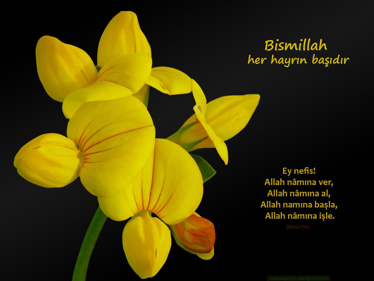 Bismillah her hayrın başıdır...
