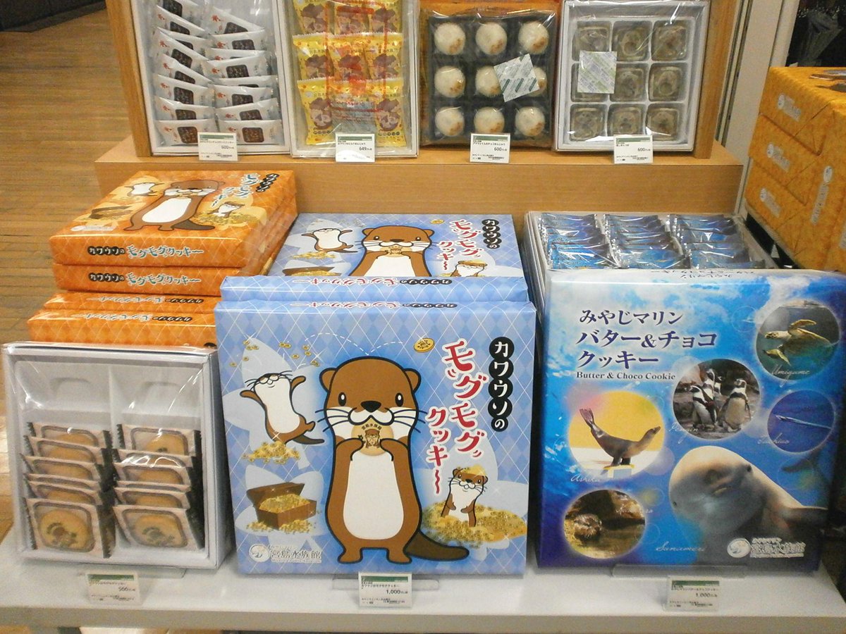 東急ハンズ広島店 على تويتر 大好評の 宮島水族館がやってくる 同時に水族館限定のお土産も購入可能 明日はついにペンギンがやって来るよ 乞うご期待 レッド Http T Co Vi3e1msiwq 東急ハンズ広島店 على تويتر 大好評の 宮島水族館がやってくる 同時に水族館限定のお土産も購入可能 明日はついにペンギンがやって来るよ 乞うご期待 レッド Http T Co Vi3e1msiwq