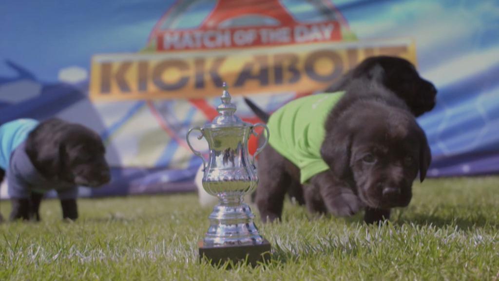 CBeebiesHQ's tweet photo. Christian Ben-Tek-Me-For-A-Walk stars in the Pup Final on CBBC's MOTD Kickabout - catch it on @BBCTwo at 9.30am! http://t.co/zDpF9xbbfo