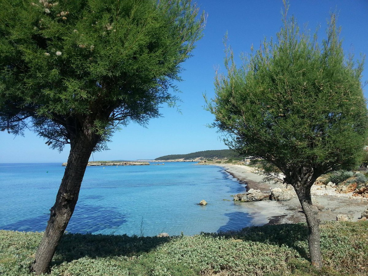 #Menorca #esmigjorngran #slooow #primavera #walkingMinorca #Minorque #pocapoc #printemps #Wow #Minorca #spring