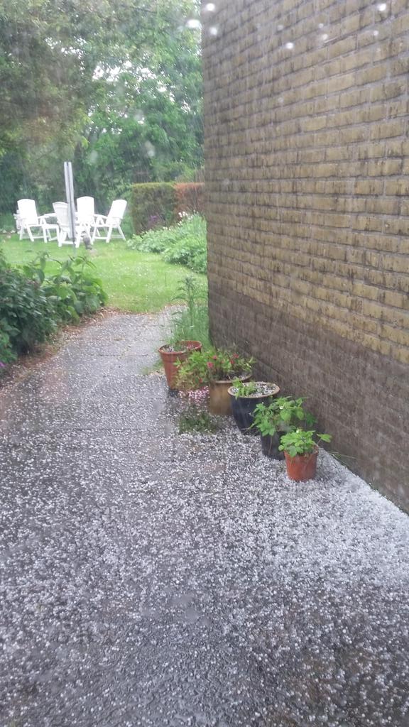 veenhj's tweet photo. Hagel, onweer, harde windvlagen en afgevallen blad, het lijkt meer #herfst dan #lente in Steenwijk @janvissersweer http://t.co/JyoNUtFcQh