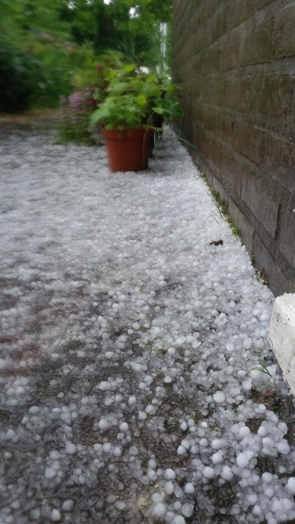 veenhj's tweet photo. Hagel, onweer, harde windvlagen en afgevallen blad, het lijkt meer #herfst dan #lente in Steenwijk @janvissersweer http://t.co/JyoNUtFcQh