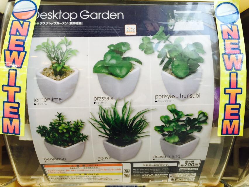 イエローサブマリン大宮本店 カプセルフィギュア デスクトップガーデン 観葉植物 大好評発売中 手のひらサイズの小鉢に青々と生い茂る植物たち のフェイクグリーン 凄い濃ゆい酸素を生産してくれそう Http T Co C6cebkfwhm