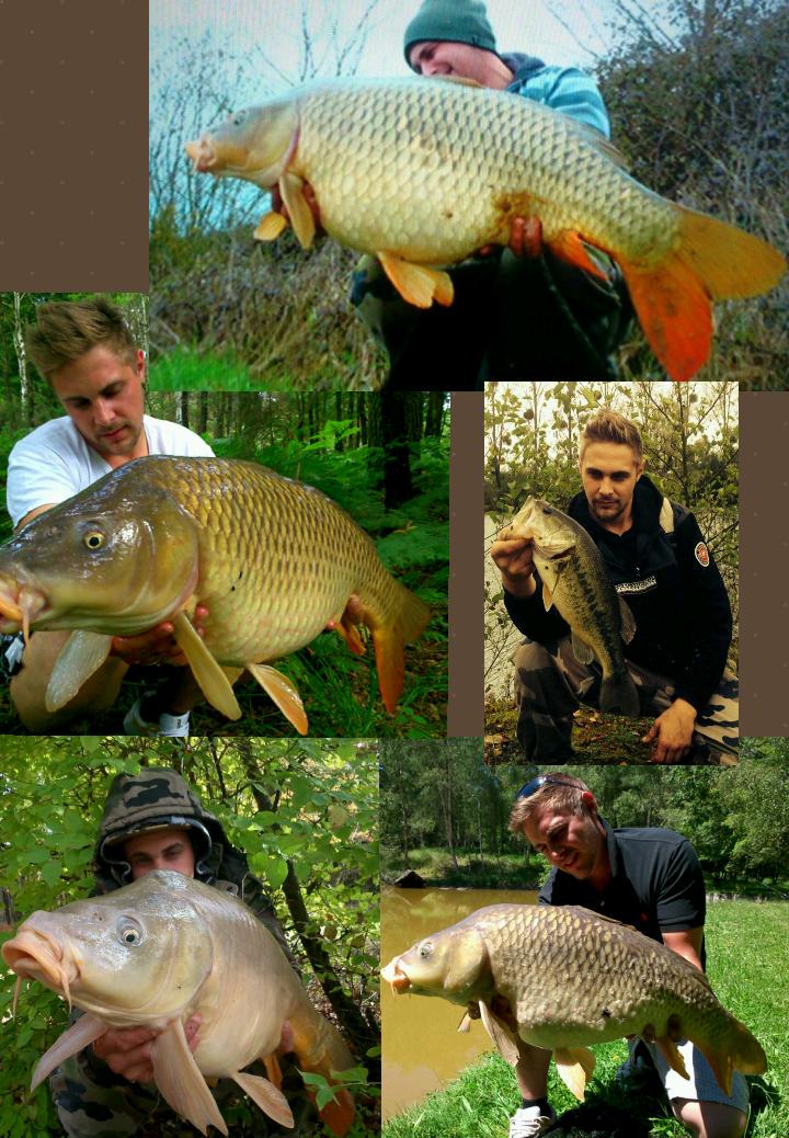 RiverLudo's tweet photo. Montage 15/1 http://t.co/9bwU3WAMp8