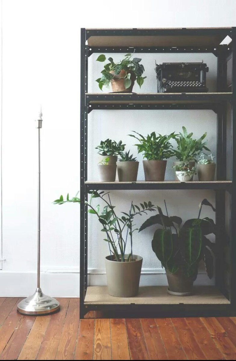 Pinechunks's tweet image. Groene opberger pinechunks.com/2015/05/30/gro…