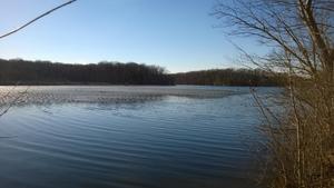 RiverRangerCA's tweet photo. A new observation has just been posted. http://t.co/VL7Khf2Qb7 http://t.co/eXt3QTvOWt