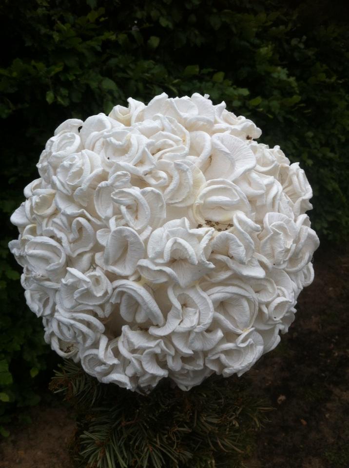 BertLief's tweet photo. http://t.co/3F0zYdiVHk