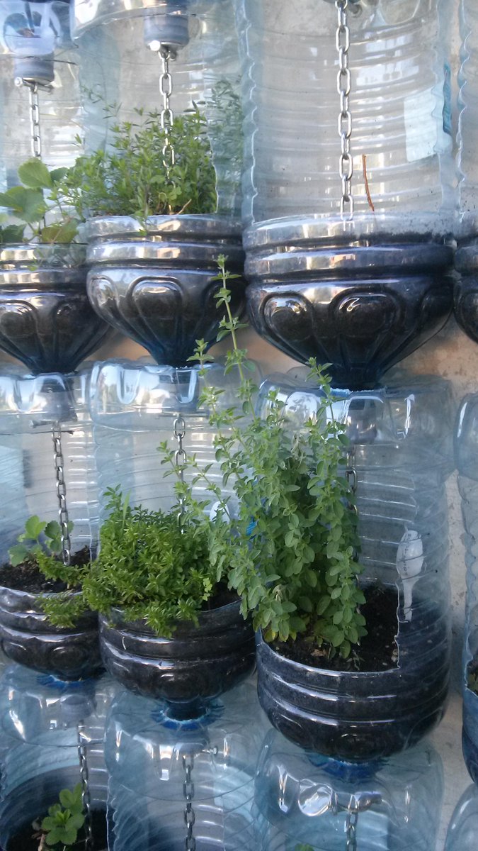 IndoorVerde's tweet photo. Our customers, Fantastico #verticalgardens http://t.co/hFxZ08UZQh
