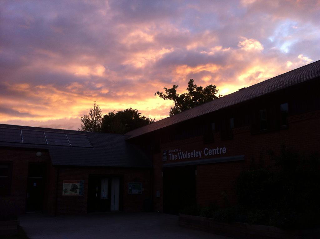 ScottoftheMarsh's tweet photo. Nice start to day @StaffsWildlife Wolseley Centre dawn chorus for #WildFest2015 with 32 species seen http://t.co/b66XFgz1bq