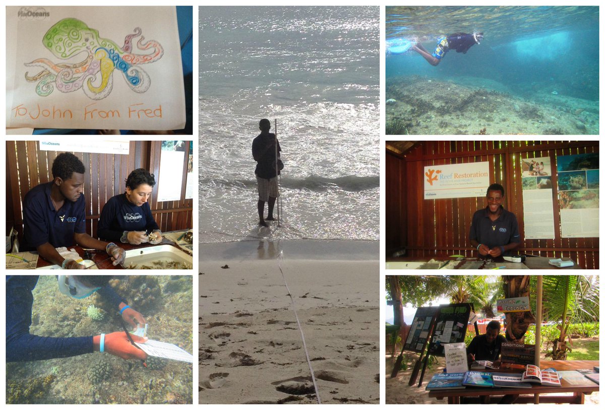 WiseOceans's tweet photo. A busy week for our #ntern Fred from @IslandSchoolSey who was helping the team @FSSeychelles He did a great job! http://t.co/88JeWTOdfu