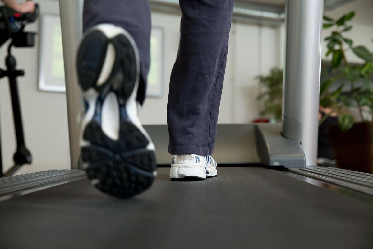 bodylifeplan tweet picture