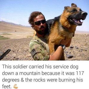 2thank's tweet photo. Thank you for sharing  Joanne Turner, Earl Dibbles Jr
Man's best friend... http://t.co/29XTbyMa2X