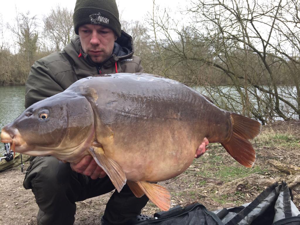 LanceLongman's tweet photo. The Creamy toffee is at it again @A2bait @KordaOfficial #bigcarp http://t.co/WlY1Jkr2Q5