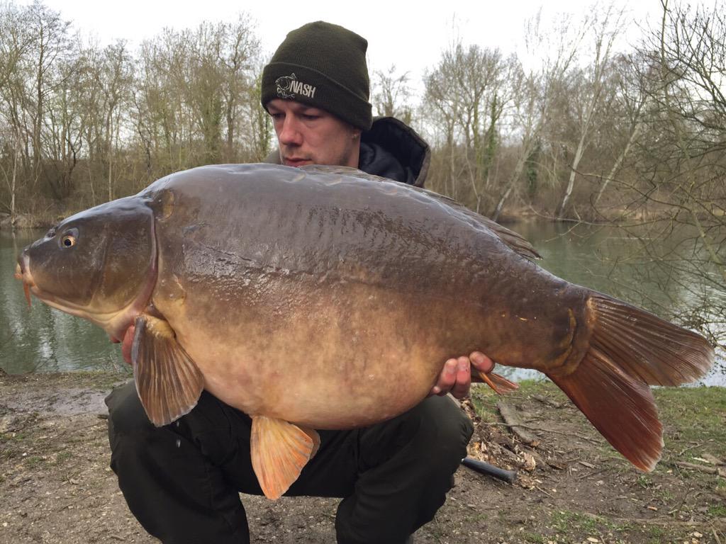 LanceLongman's tweet photo. The Creamy toffee is at it again @A2bait @KordaOfficial #bigcarp http://t.co/WlY1Jkr2Q5