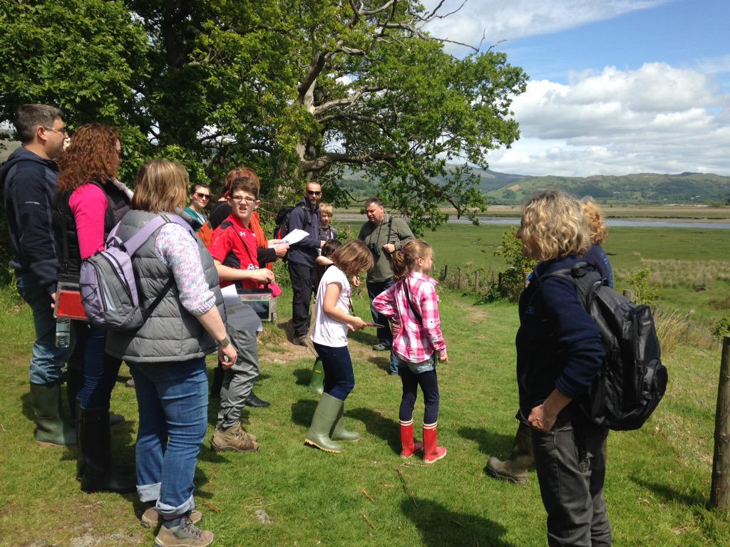 BroHyddgen's tweet image. A successful COBWEB family day with pupils from both the Primary and Secondary campus. #Cobwebfp7 #RSPB