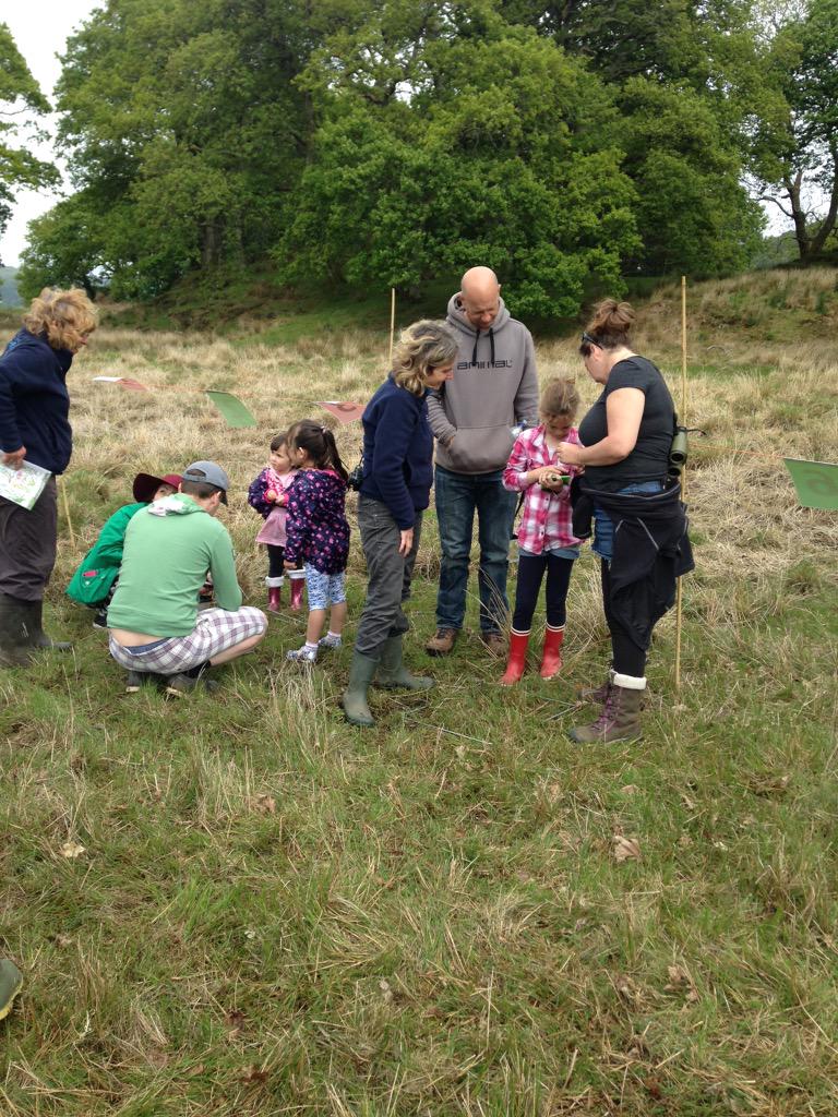 BroHyddgen's tweet image. A successful COBWEB family day with pupils from both the Primary and Secondary campus. #Cobwebfp7 #RSPB