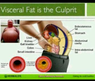 Lihat Dan perhatikn jika perut anda buncit(bukan hmil)