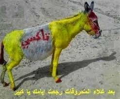 ههههههههههه