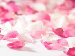 Ji  Shi  N  (地震）この頃多いなぁ！流石地震大国｀日本 '
それでもMAC片手にtweetしてる私ってアホだゎ！