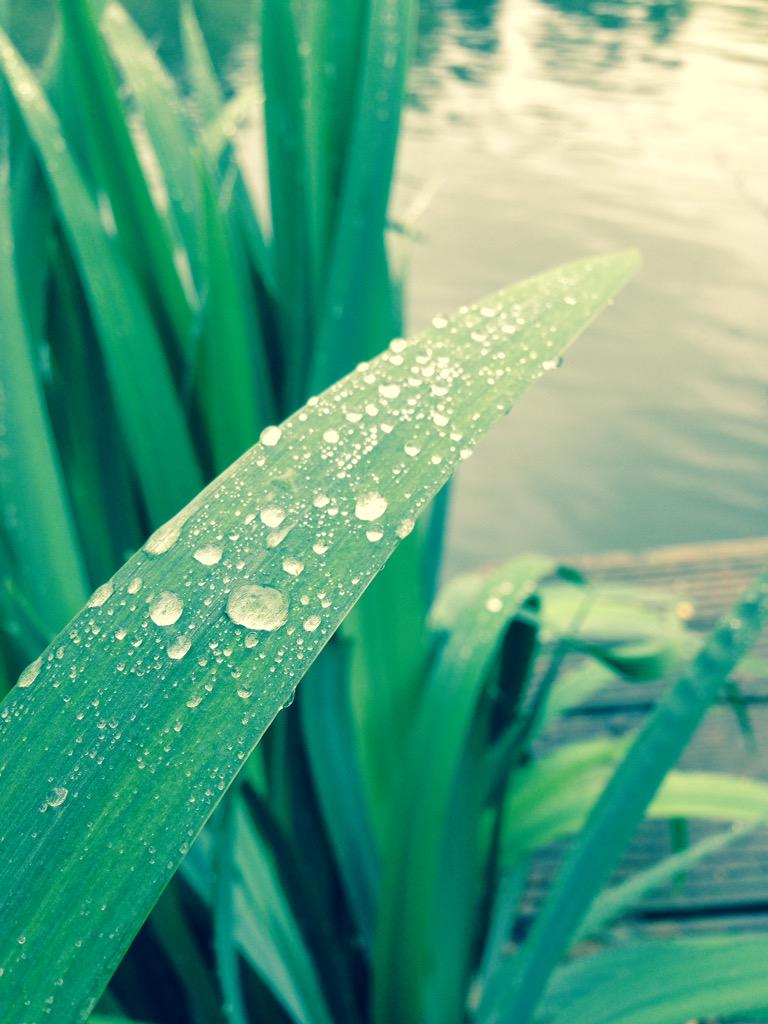 CollectFishing's tweet image. iPhone shot