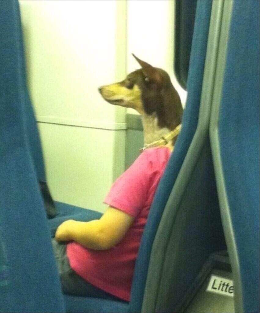 SleepyCommuters's tweet photo. There's never a bad time to post this classic http://t.co/FvYVlzcp3M