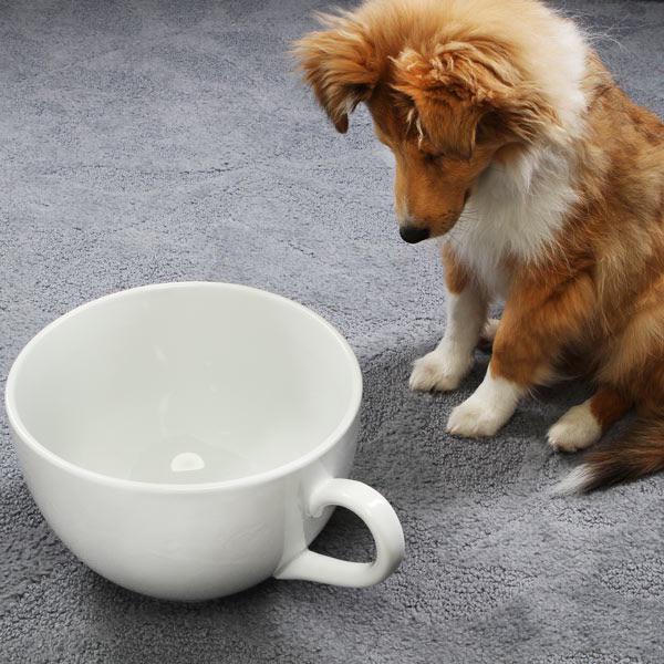 Собаки пьют чай. Доброе утро с собачками. Животные в чашке. Собака с чашкой кофе. Кофе и животные.