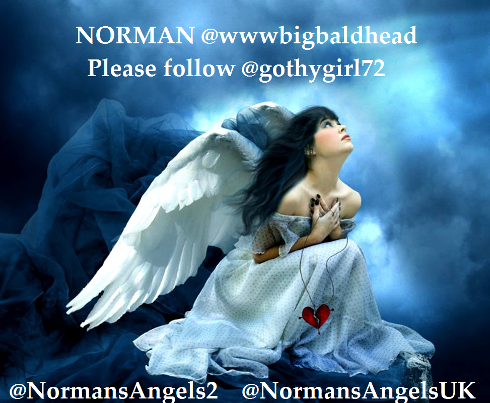 NORMAN ❤<a href="/wwwbigbaldhead/">norman reedus</a>❤ #PLZFOLLOW <a href="/gothygirl72/">UKFLANDUS4EVA</a>
