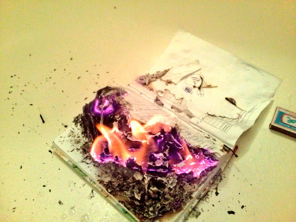 MariaAdventure's tweet image. тем временем я сжег свой дневник