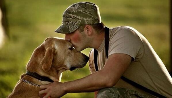 WreathsAcross's tweet photo. Thank you to those who serve for our freedom. #MilitaryAppreciationMonth #therapydog http://t.co/OD19xle7oN