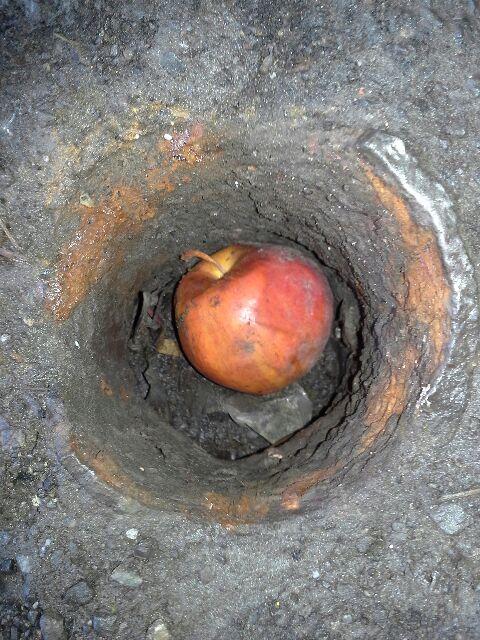 kenseward's tweet image. An apple a day keeps the plumbers at play. This apple blocking pipe caused entire parking garage to flood.