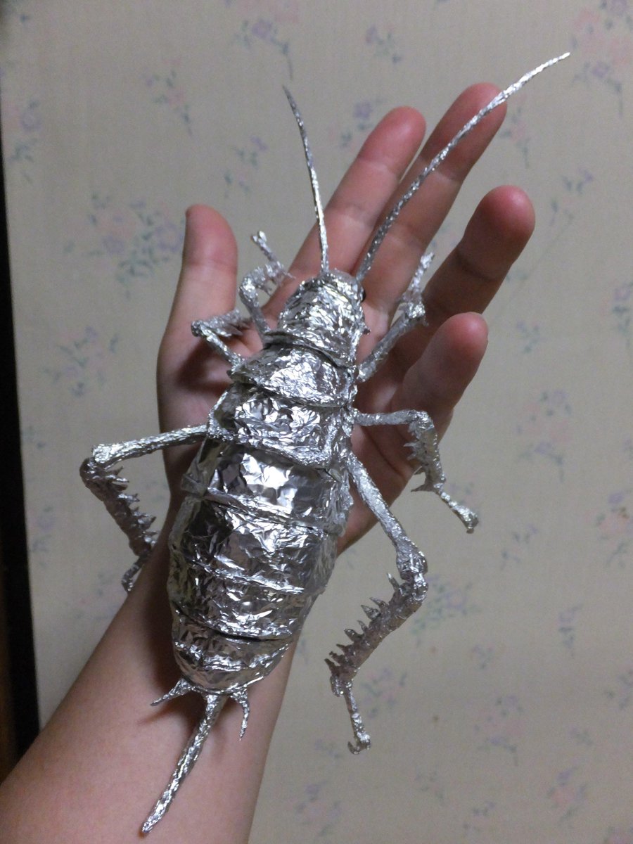 箔屋スフィカ Auf Twitter アルミホイルアート展 世界の巨大な虫 出展予定の世界最大のコオロギ ジャイアントウェタ です 展示期間中私が居る時であれば 実際に手にとってご覧頂けます 大きさを実感し圧倒されますよ 気軽に声を掛けて下さいね Http T Co