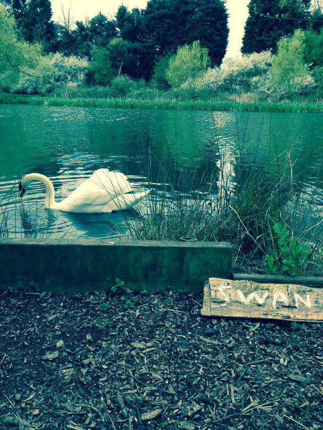 CollectFishing's tweet image. It's the little things