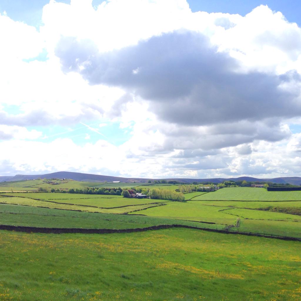 Who wouldn't want to go for a run with this view for company? @saddleworthnews <a href="/YourSaddleworth/">Your Saddleworth</a> <a href="/SaddleworthMag/">Saddleworth Magazine</a>